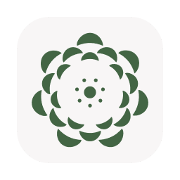 How to run LLMs locally